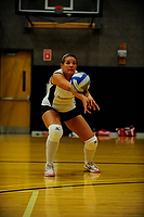 Volleyball Drops 3-0 Decision at UMass Boston