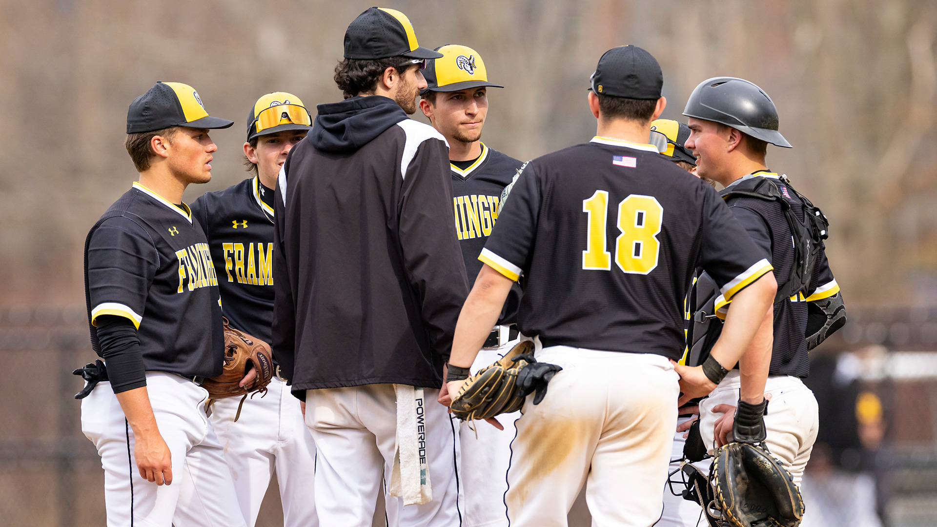 Baseball Closes Season with Split at Fitchburg State
