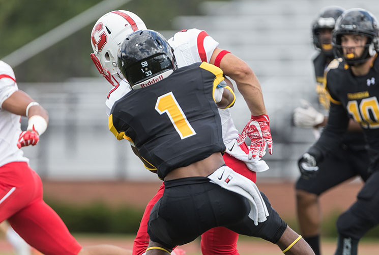 Harris Selected to D3football.com All-East Region Second Team