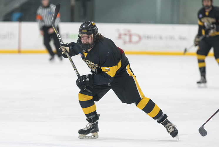 Ice Hockey vs. Worcester Makeup Game Postponed