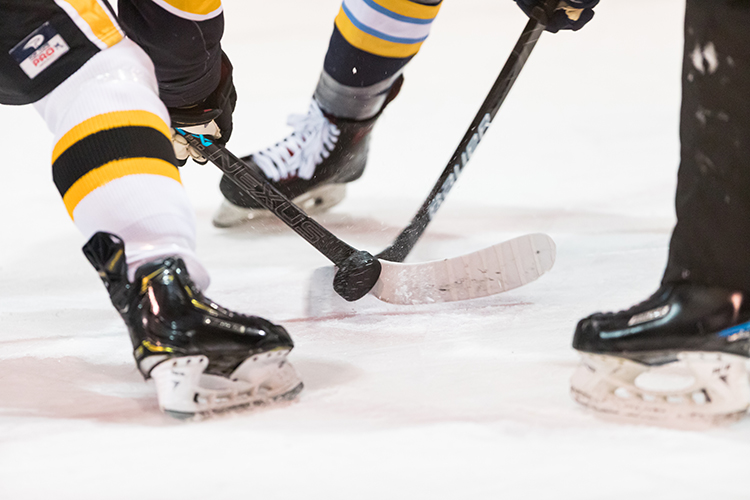 Panthers Skate by Ice Hockey in MASCAC Action
