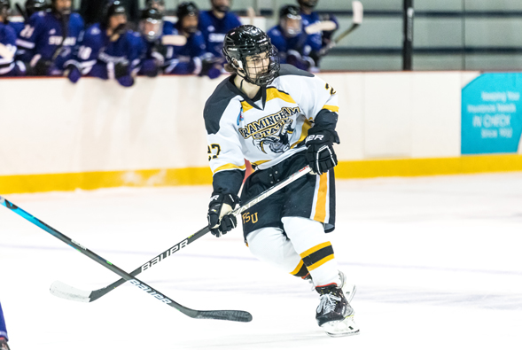 Plymouth Skates Past Ice Hockey; 8-3