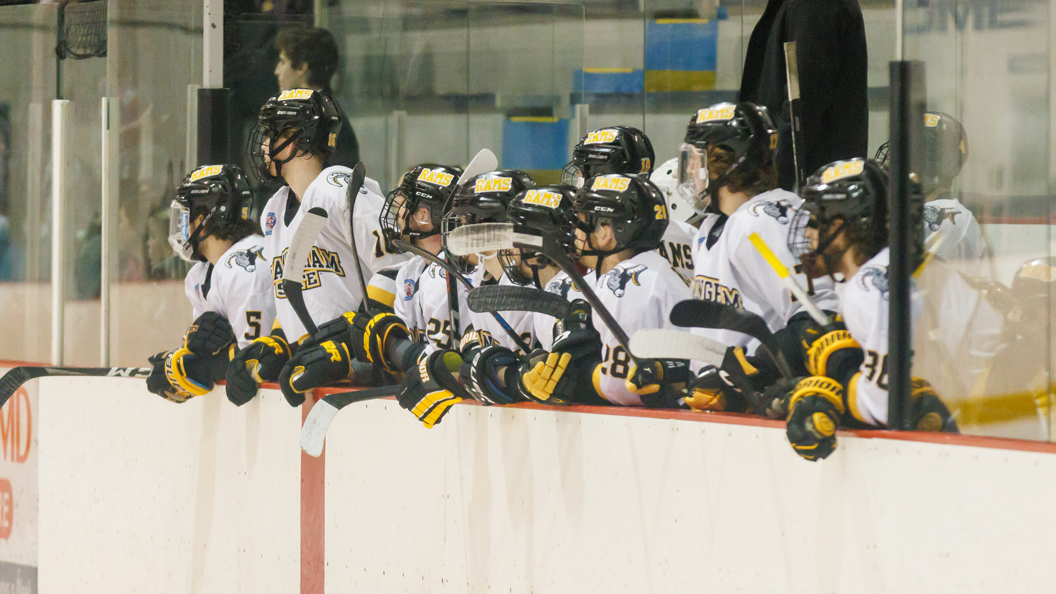Ice Hockey Closes Season at Stonehill