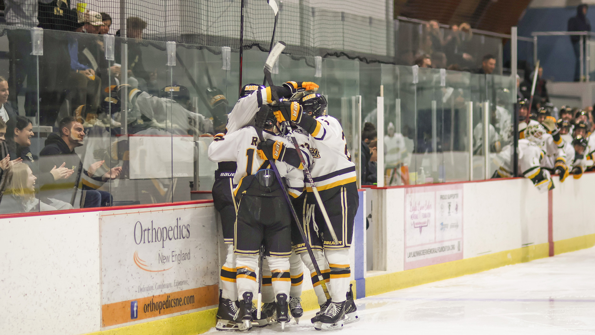 Men's Ice Hockey Falls to Anna Maria 3-1 in Regular Season Finale