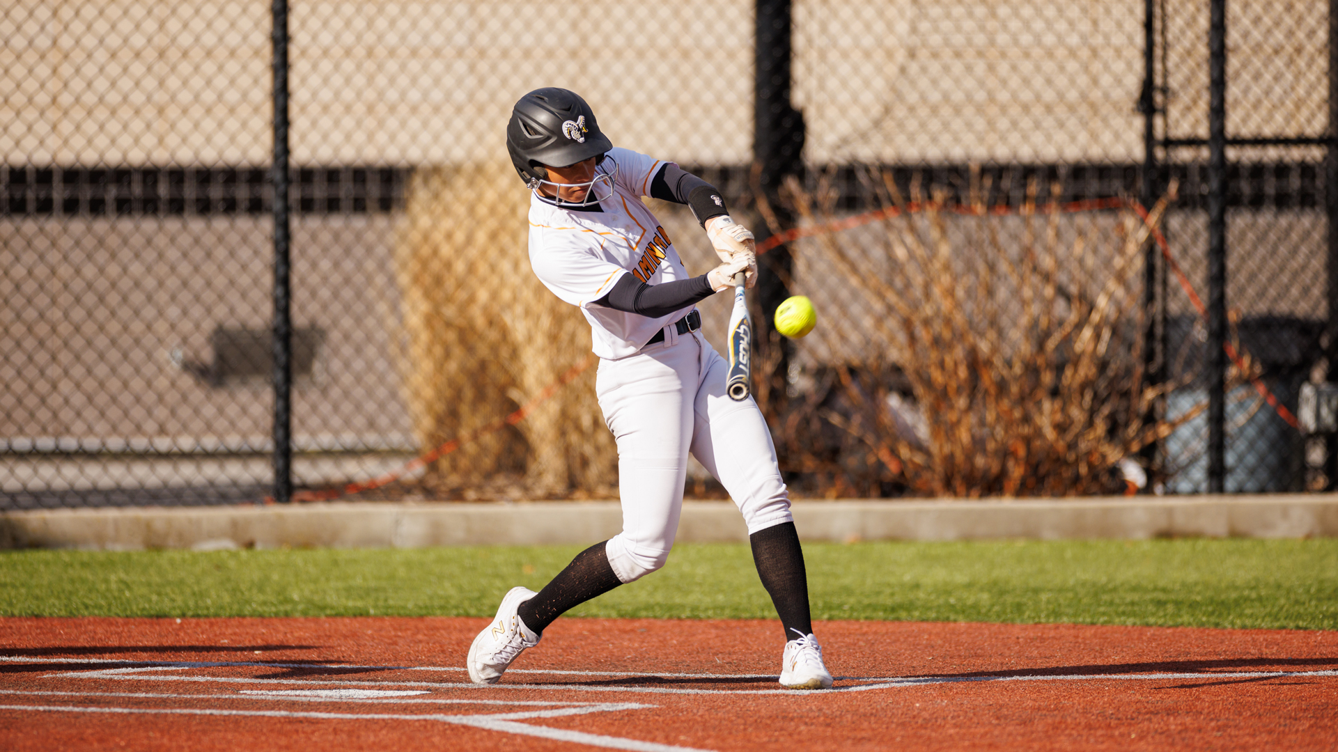 Softball Splits with Fitchburg State to Close Regular Season