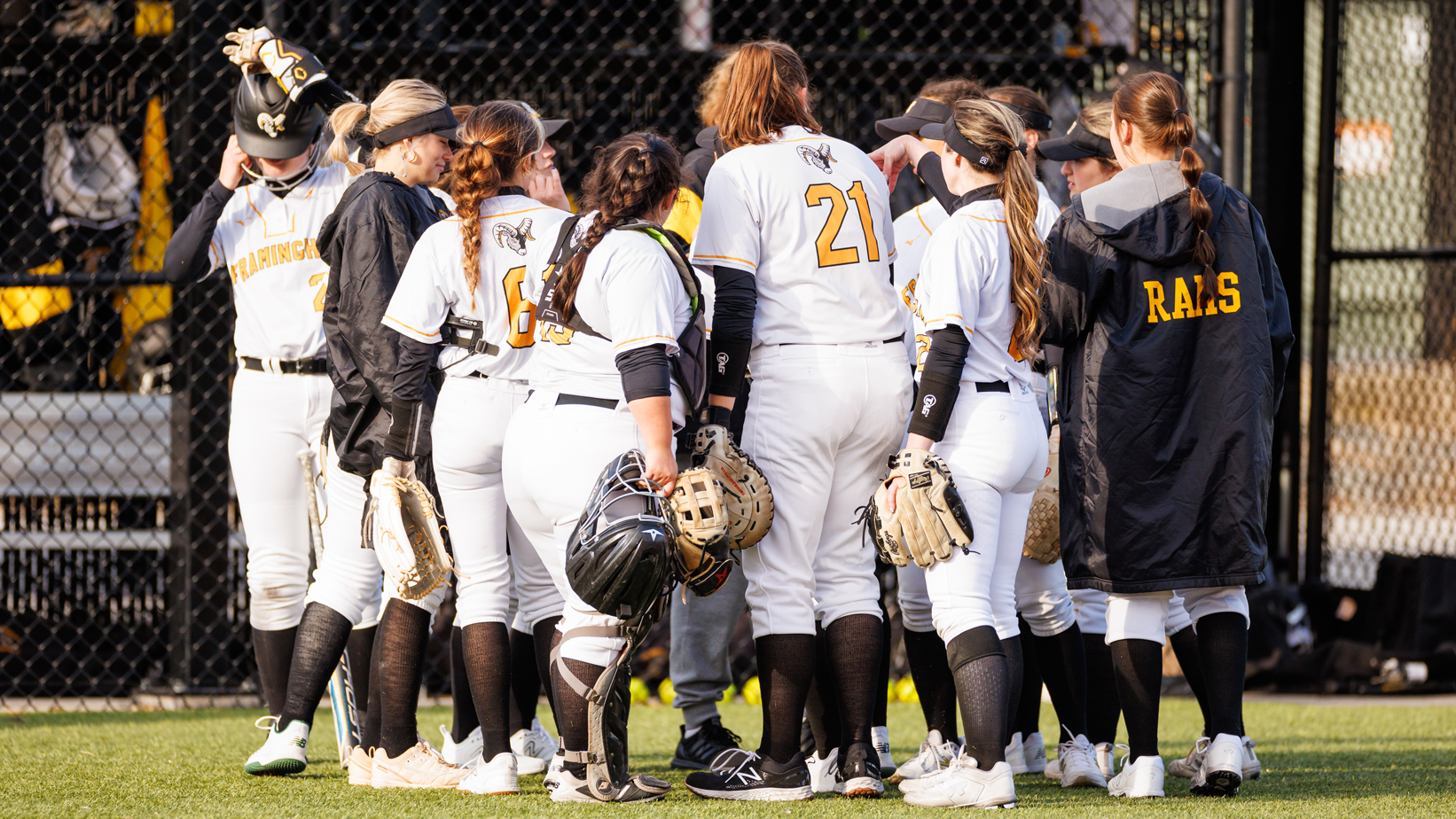 Softball Falls to Salisbury in Opening Round of NCAA Tournament