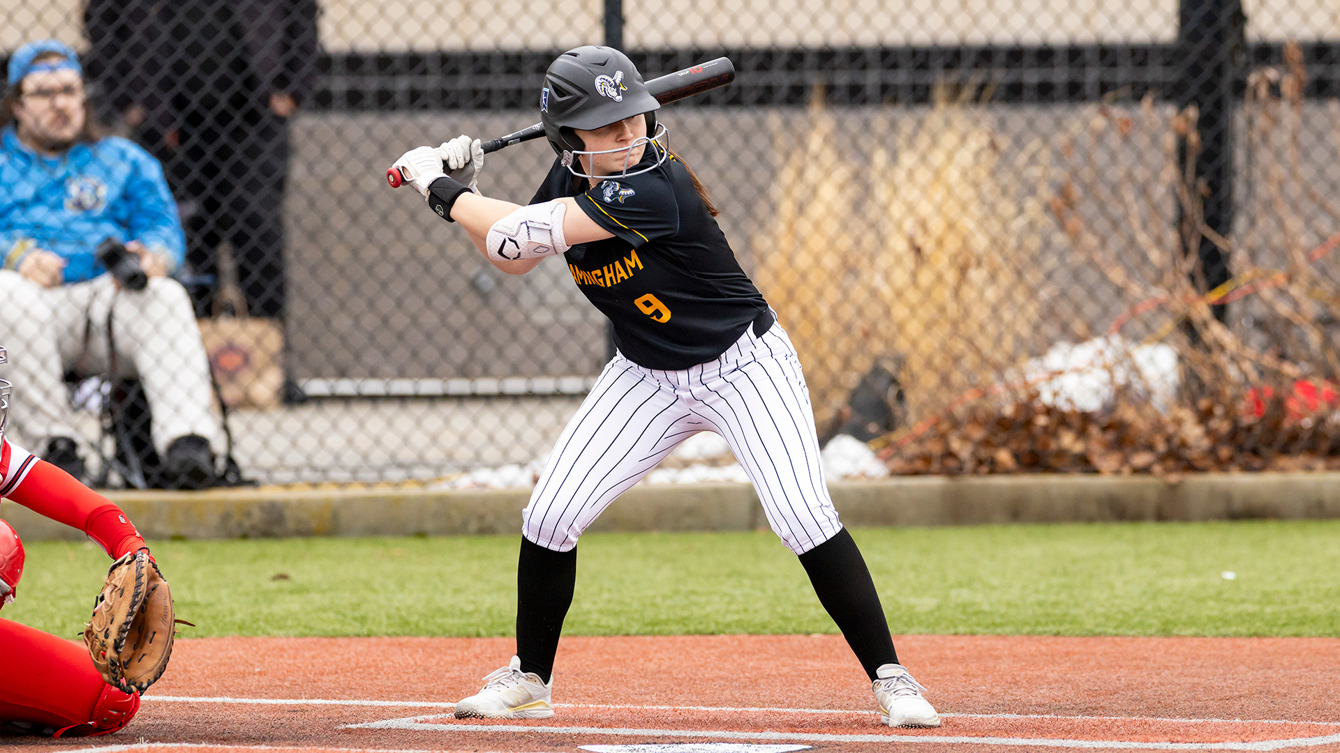 Softball Hands Owls First Loss of Season in Split of MASCAC Doubleheader