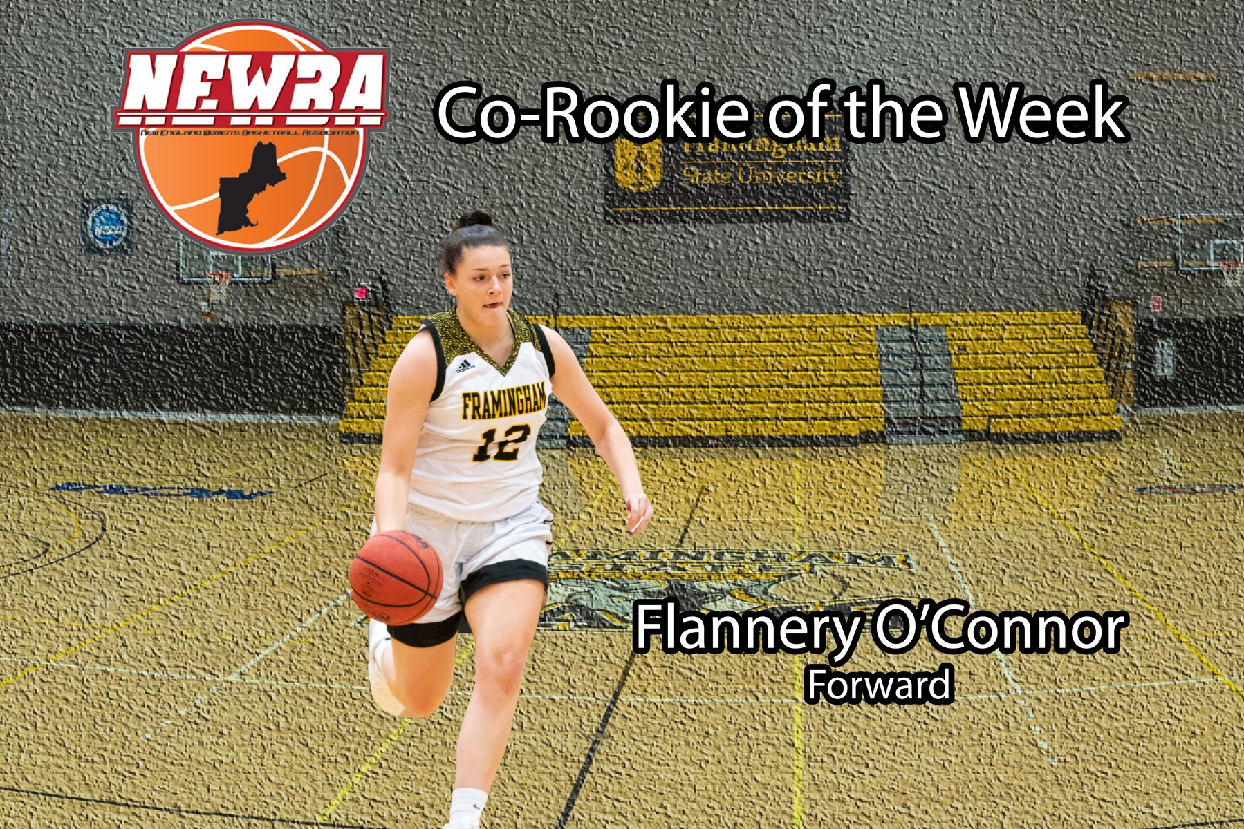 O&rsquo;Connor Chosen as NEWBA Co-Rookie of the Week