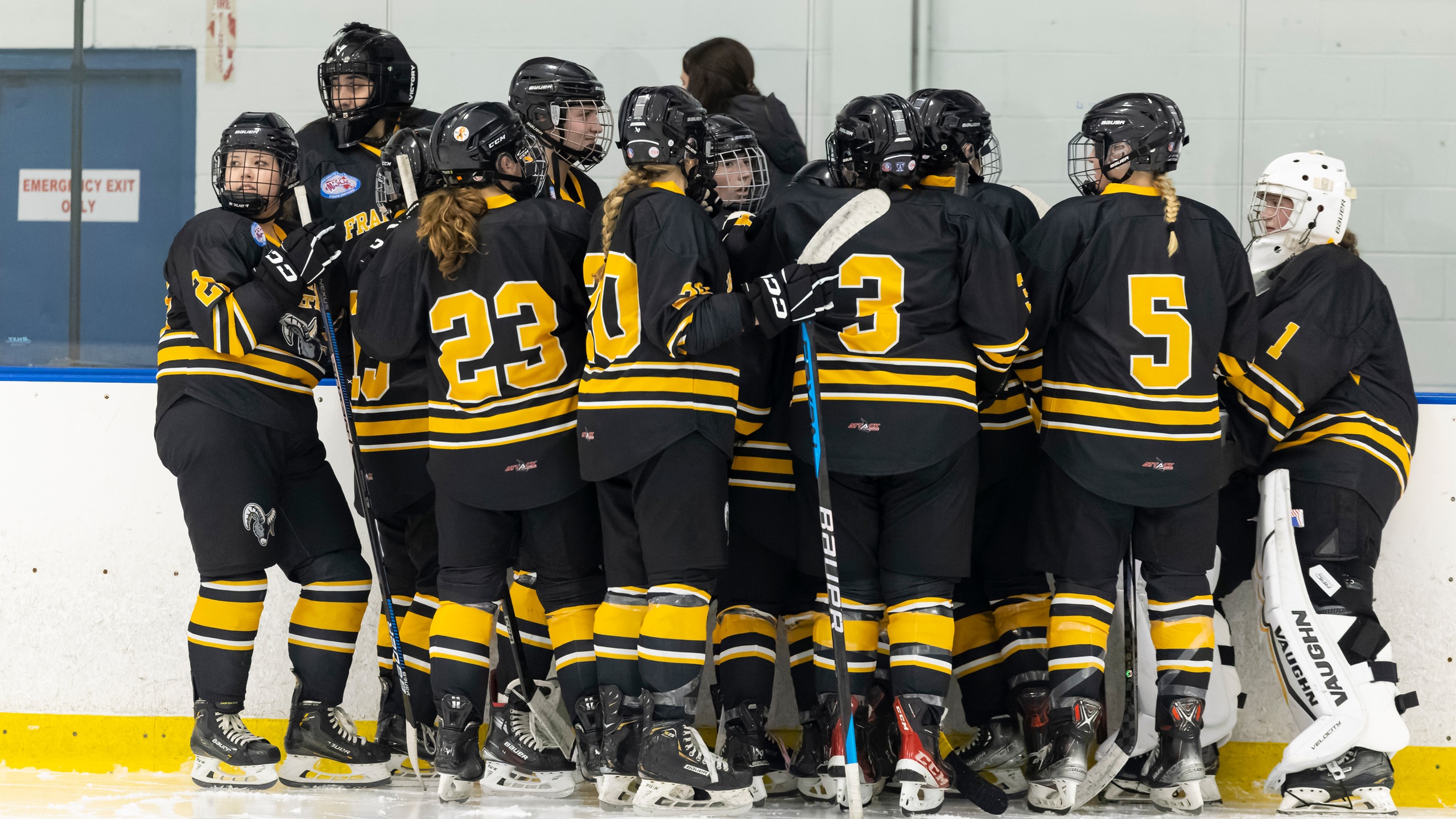 Women&rsquo;s Ice Hockey Shutout by Rivier