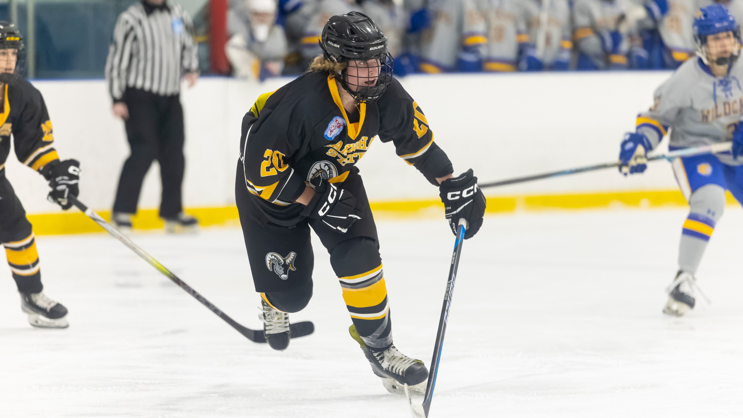 Worcester State Edges Women&rsquo;s Ice Hockey with Strong Third Period