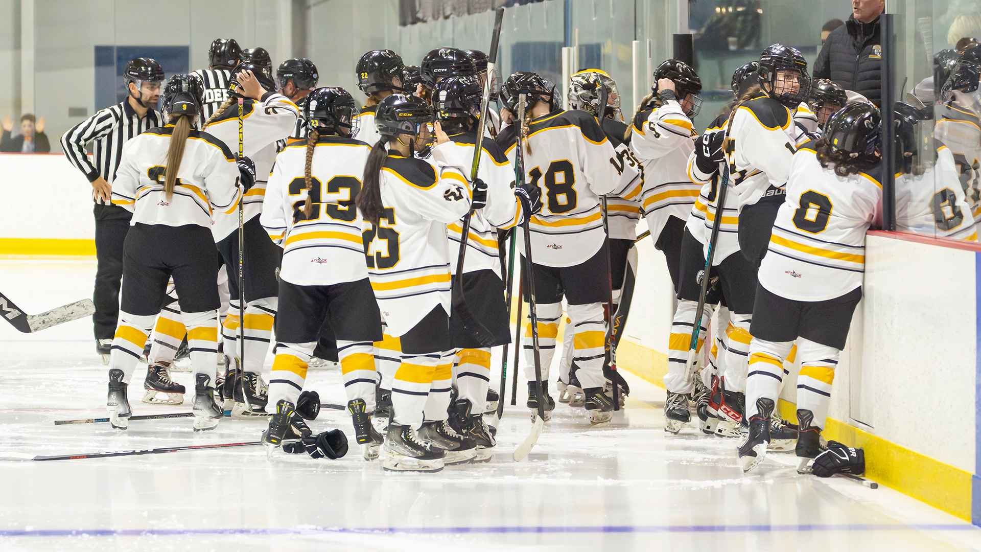 Women's Ice Hockey Falls 4-0 in MASCAC Semifinal