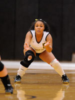 Michelle DeJesus
