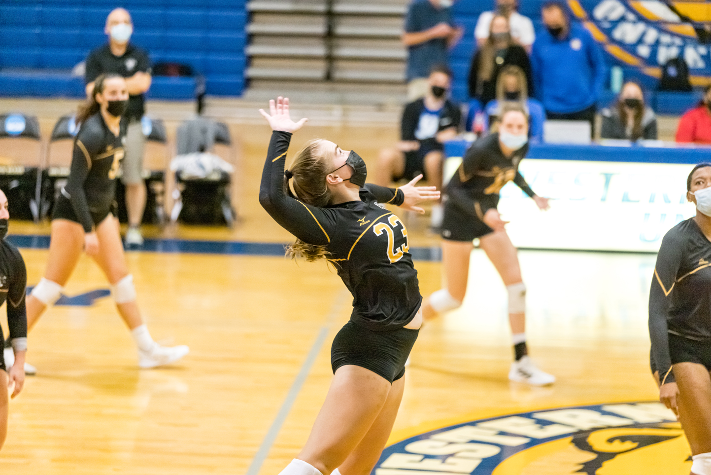 Volleyball Downs Dean 3-0