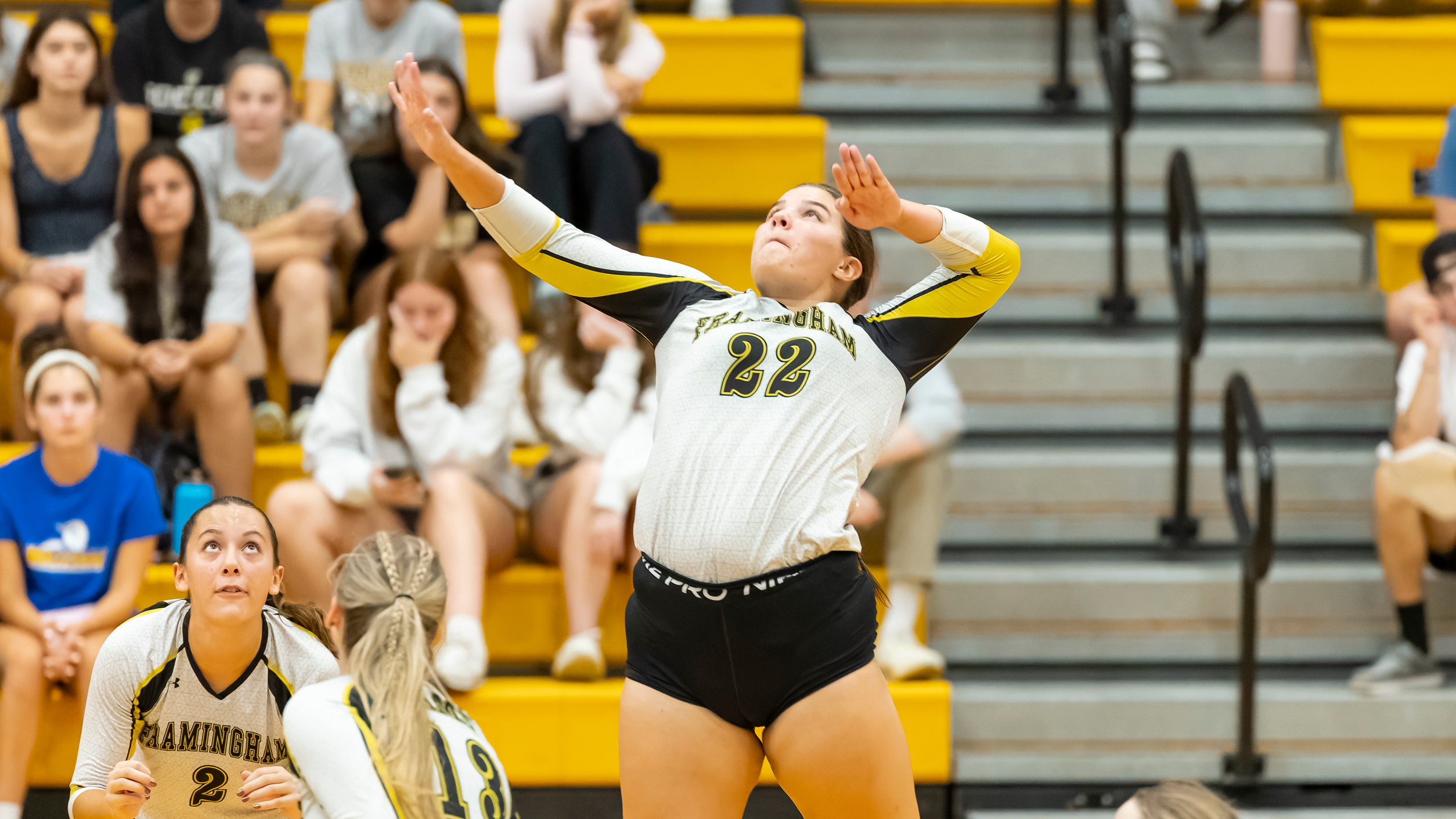 Volleyball Rallies for 3-1 Victory over Mass. Maritime in MASCAC Action