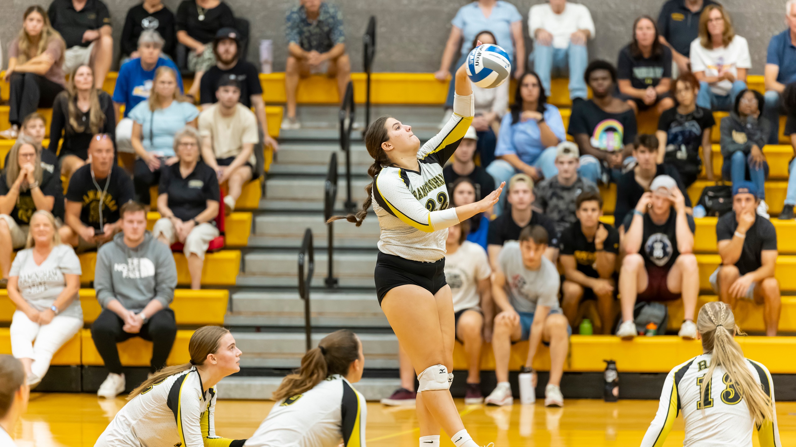 Volleyball Sweeps Tri-Match with Bay Path and Anna Maria