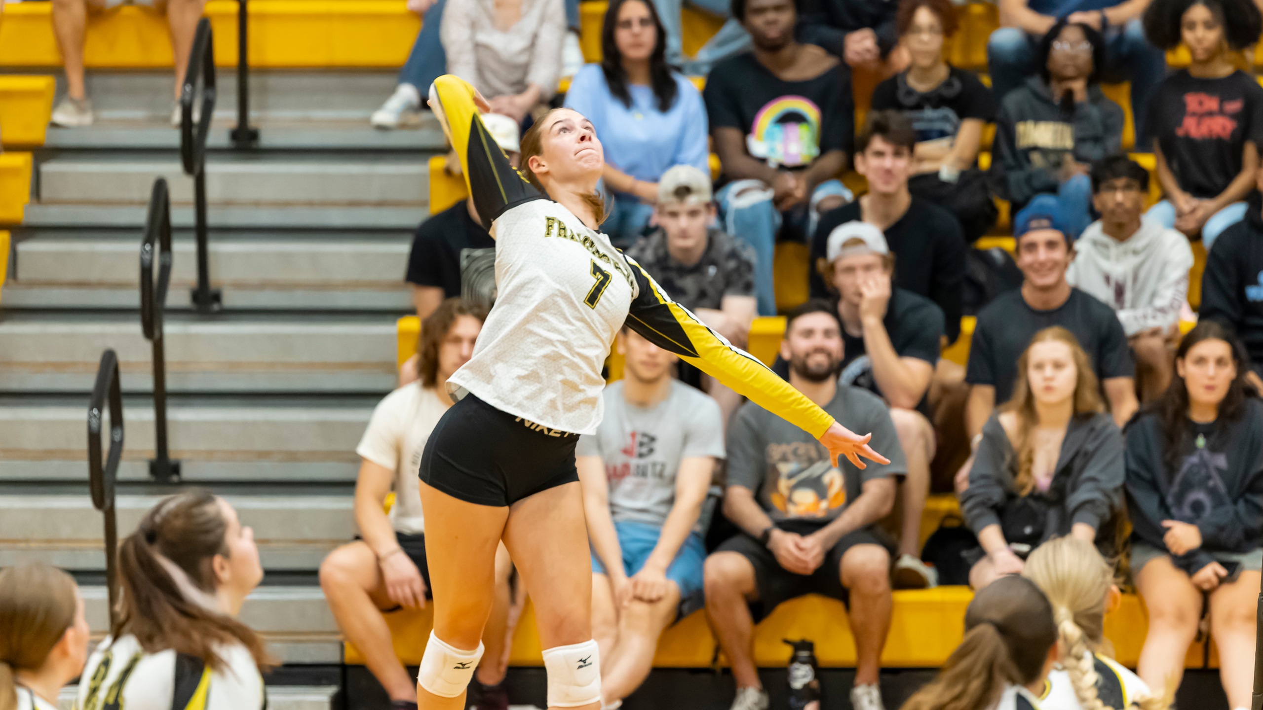 Volleyball Soars Past Fitchburg State 3-0