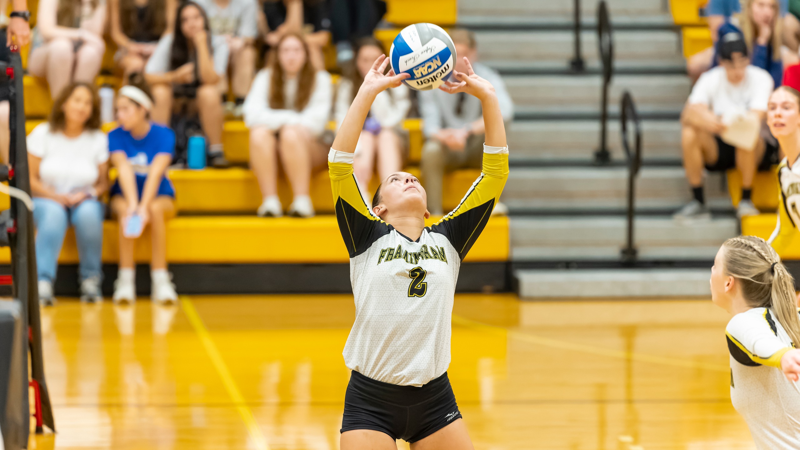 Volleyball Sails to 3-0 Victory over New England College