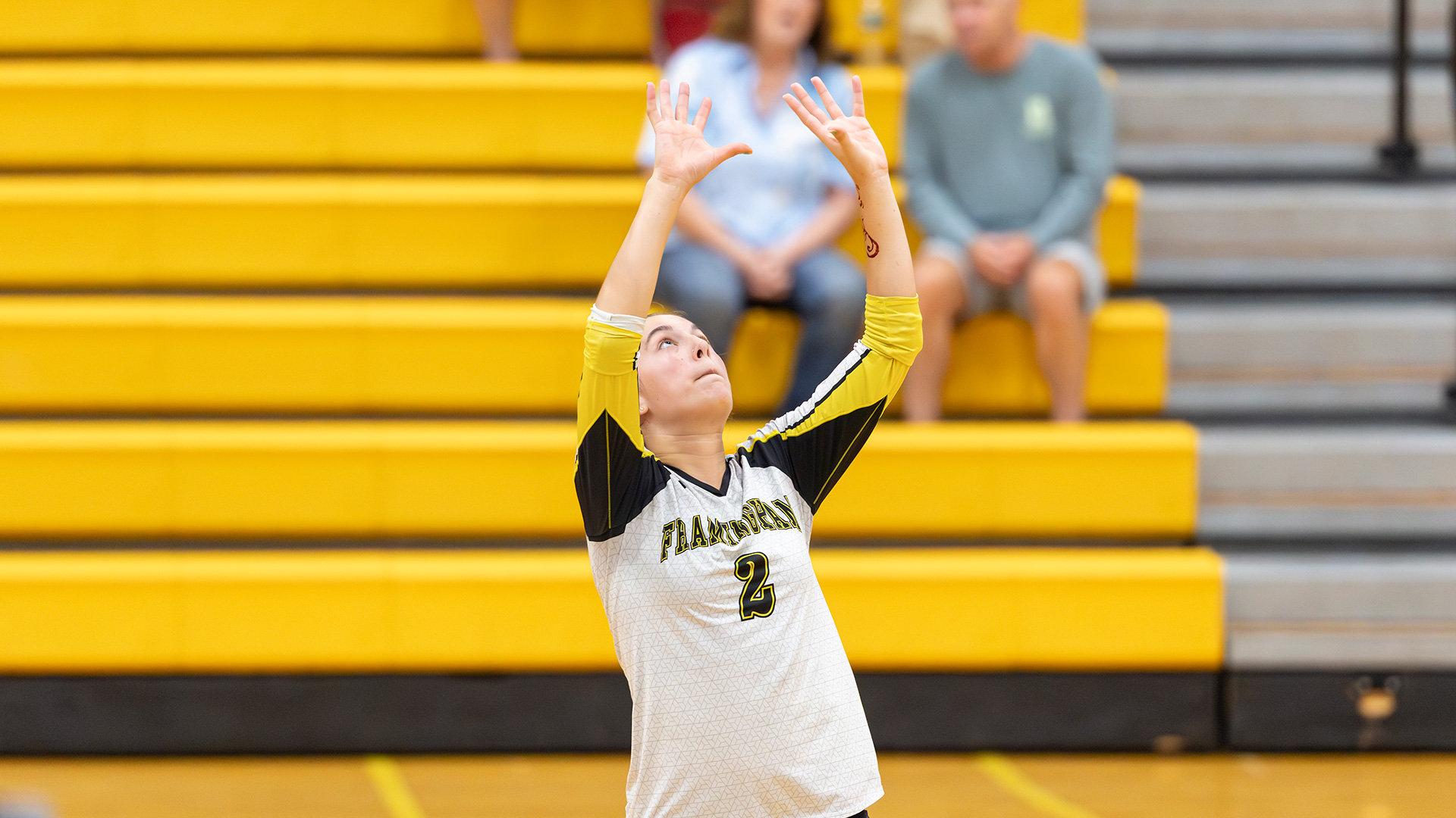 Bailey Records 3000th Assist as Volleyball Falls to Gordon and Plymouth State